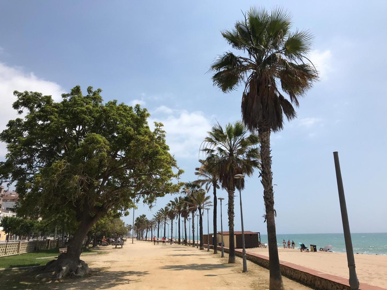 Apartamento Frente Al Mar Канет де Мар Екстериор снимка